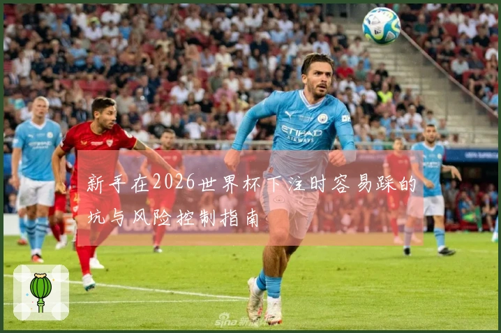 新手在2026世界杯下注时容易踩的坑与风险控制指南